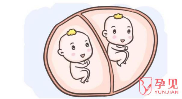 双子宫能怀双胞胎吗