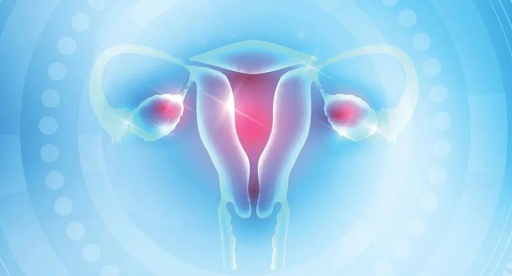 卵巢早衰试管能成功吗,几率大吗