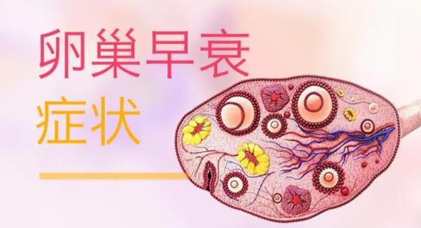 卵巢早衰(早发性卵巢功能不全)-症状-病因-调理-试管