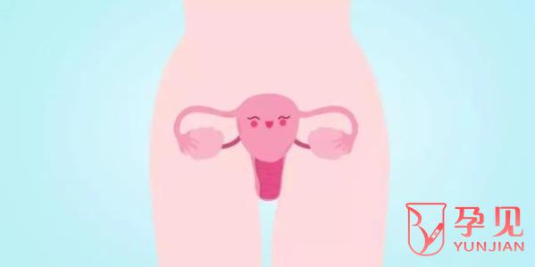 子宫畸形会影响月经吗