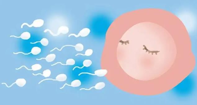 25岁卵巢早衰能做试管婴儿吗