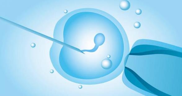 卵巢早衰做供卵试管成功率高吗