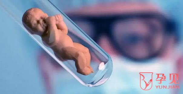 移植冻胚的步骤和费用是怎样的