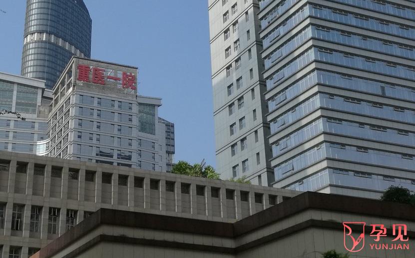 在重庆医科大学附属第一医院做试管婴儿需要多少钱?