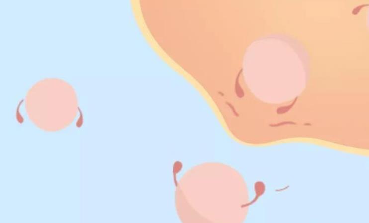 卵巢早衰还能有机会怀孕吗