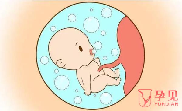 双角子宫对胎儿发育有影响吗
