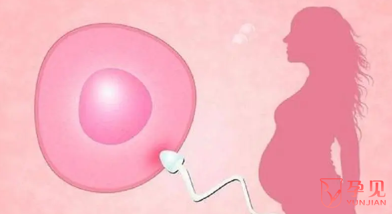 女性染色体异常能怀孕吗