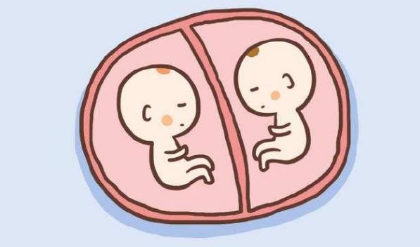 多囊卵巢怀双胞胎几率大吗