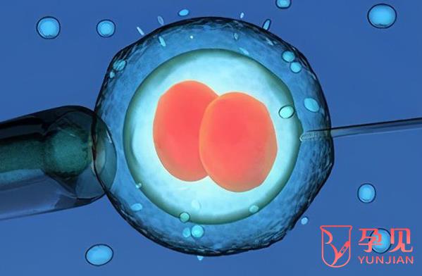 二级胚胎移植成功率有多高