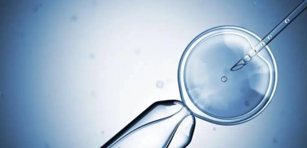 24岁卵巢早衰能做试管婴儿吗