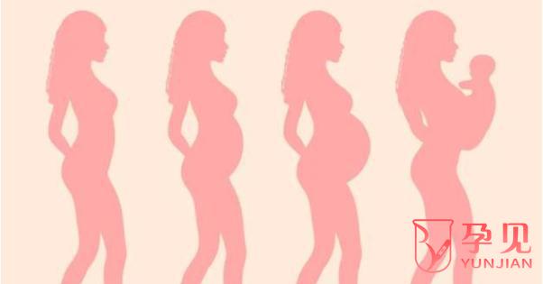 子宫畸形中的纵隔子宫可以怀孕吗