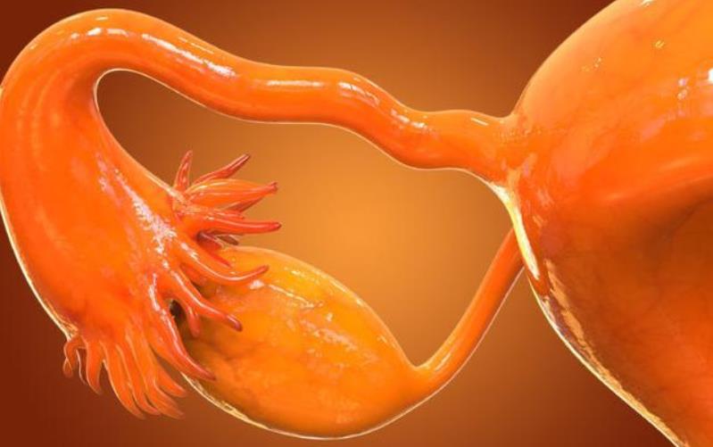 雌二醇高是卵巢早衰吗,怎么预防卵巢早衰