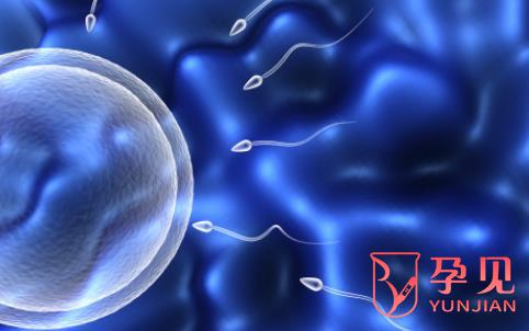 精子DFI值多少可以做试管婴儿