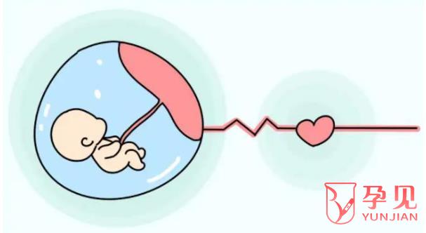 苏州捐卵试管婴儿多少钱