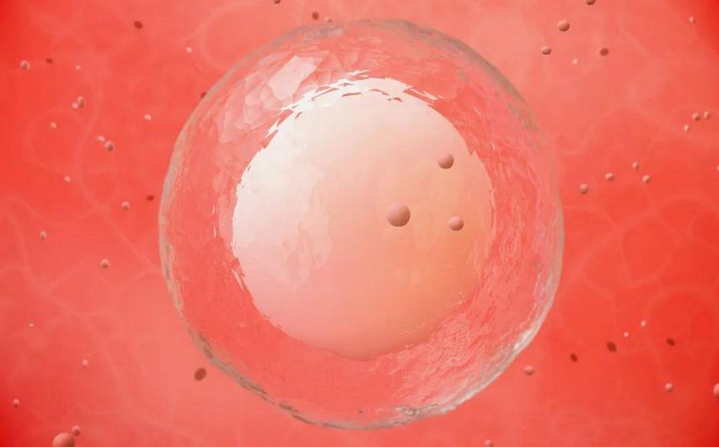 始基子宫的卵巢会正常排卵吗,为什么