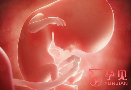 胚胎移植成功后最明显的感觉是什么