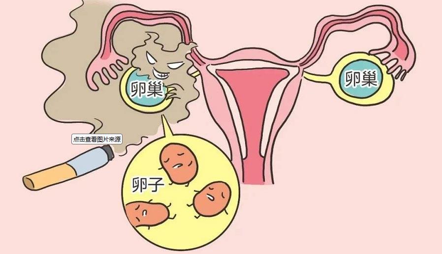 卵巢功能衰退能治好吗