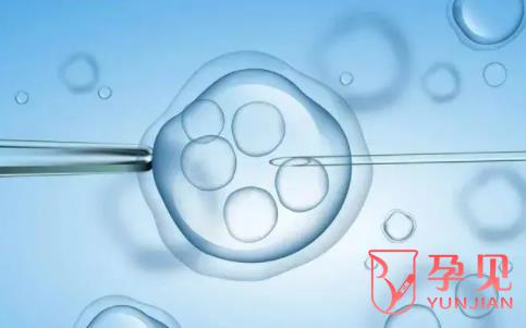 第三代试管取卵后需要多久才可以移植胚胎