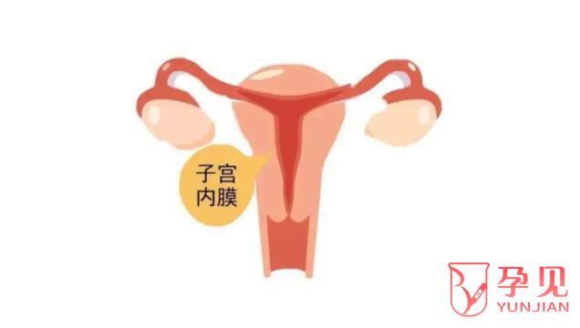 什么是绝经后子宫内膜增厚
