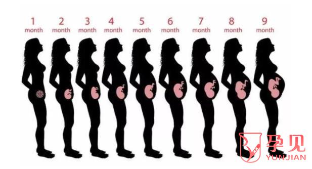 单角子宫能足月生产吗,单角子宫怀孕后怎么护理