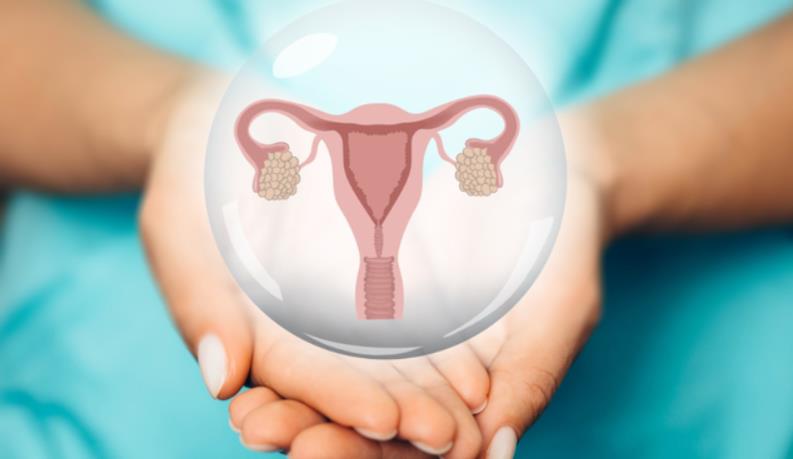 24岁卵巢早衰能怀上孩子吗,能生育吗