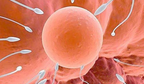 多囊卵巢能正常排卵吗