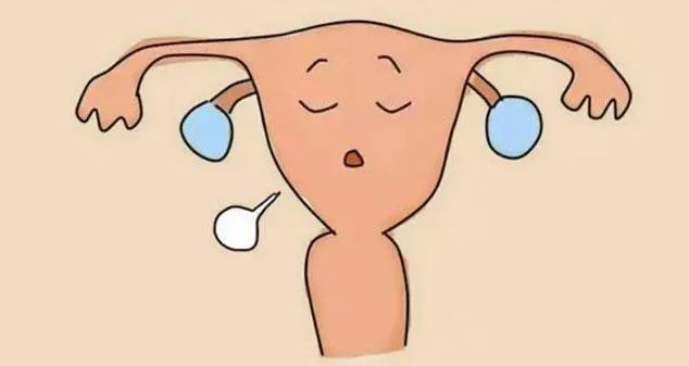 26岁检查出卵巢早衰怎么办,还能调整回来吗