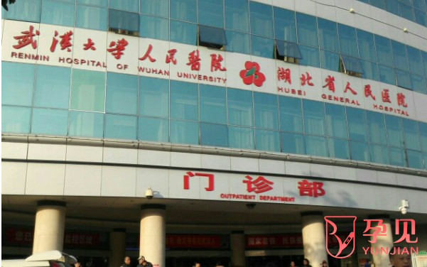 武汉大学人民医院生殖医学中心