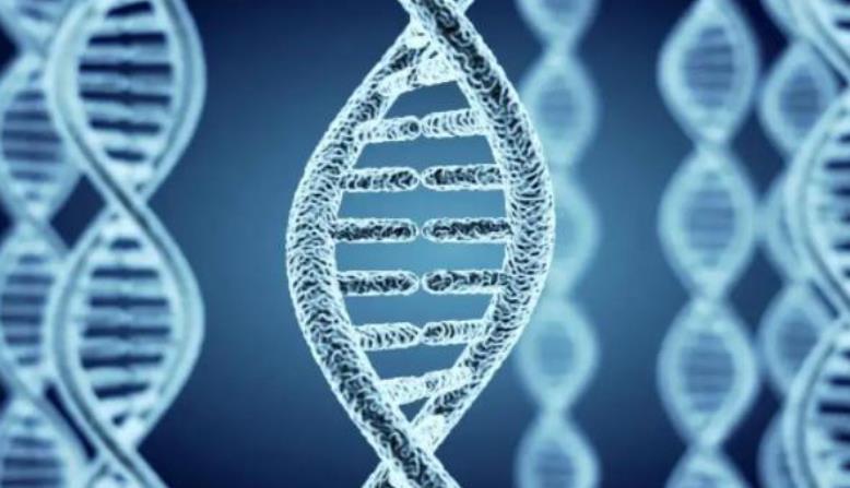 始基子宫会遗传下一代吗,具体原因是什么呢