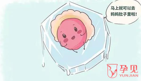 2023哈尔滨能做供(捐)卵试管的医院有哪些,医院名单