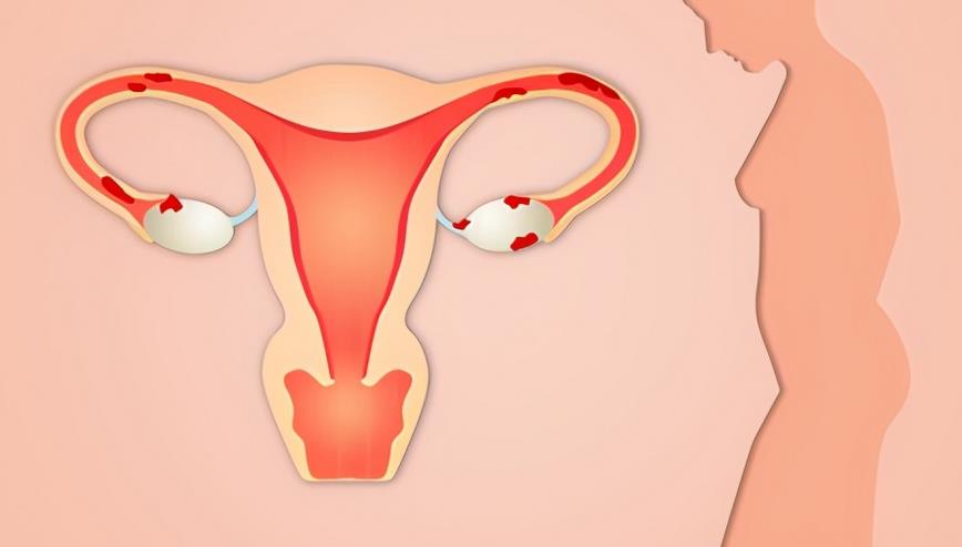 26岁有卵巢早衰能治好吗？患上卵巢早衰还能恢复吗？