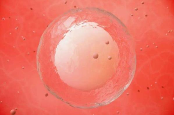 多囊卵巢患者卵子质量很差吗
