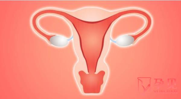 先天性子宫畸形有哪些影响危害